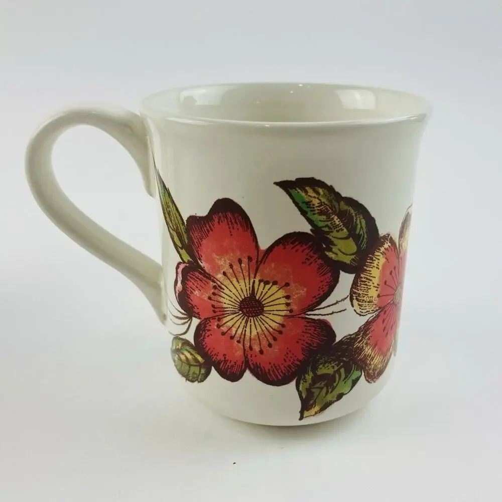 2 Pier 1 Coffee Mugs Made Italy Fruit Hawaii Flower Earthenware New Harvest Appl